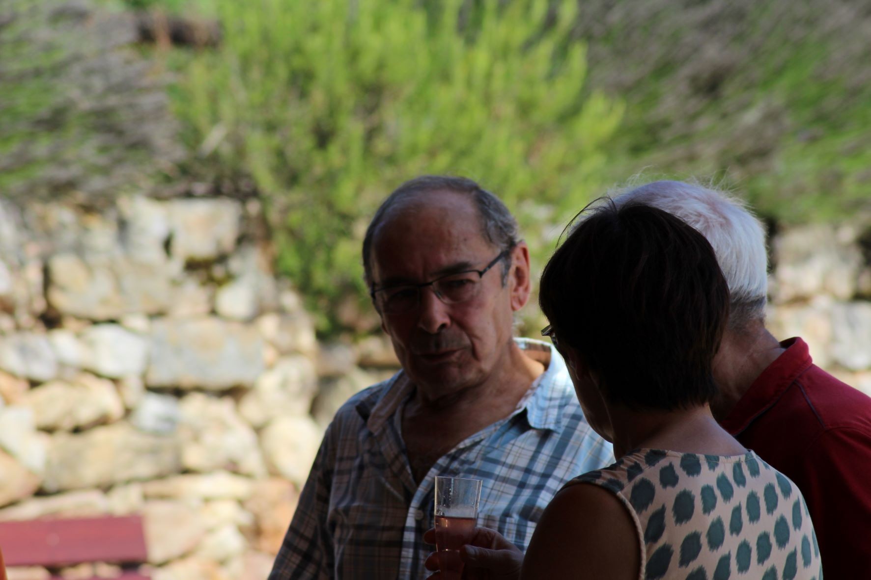 Img 7802